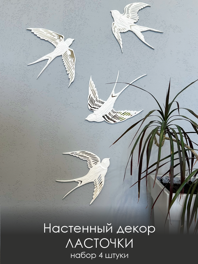 Птицы Ласточки белые