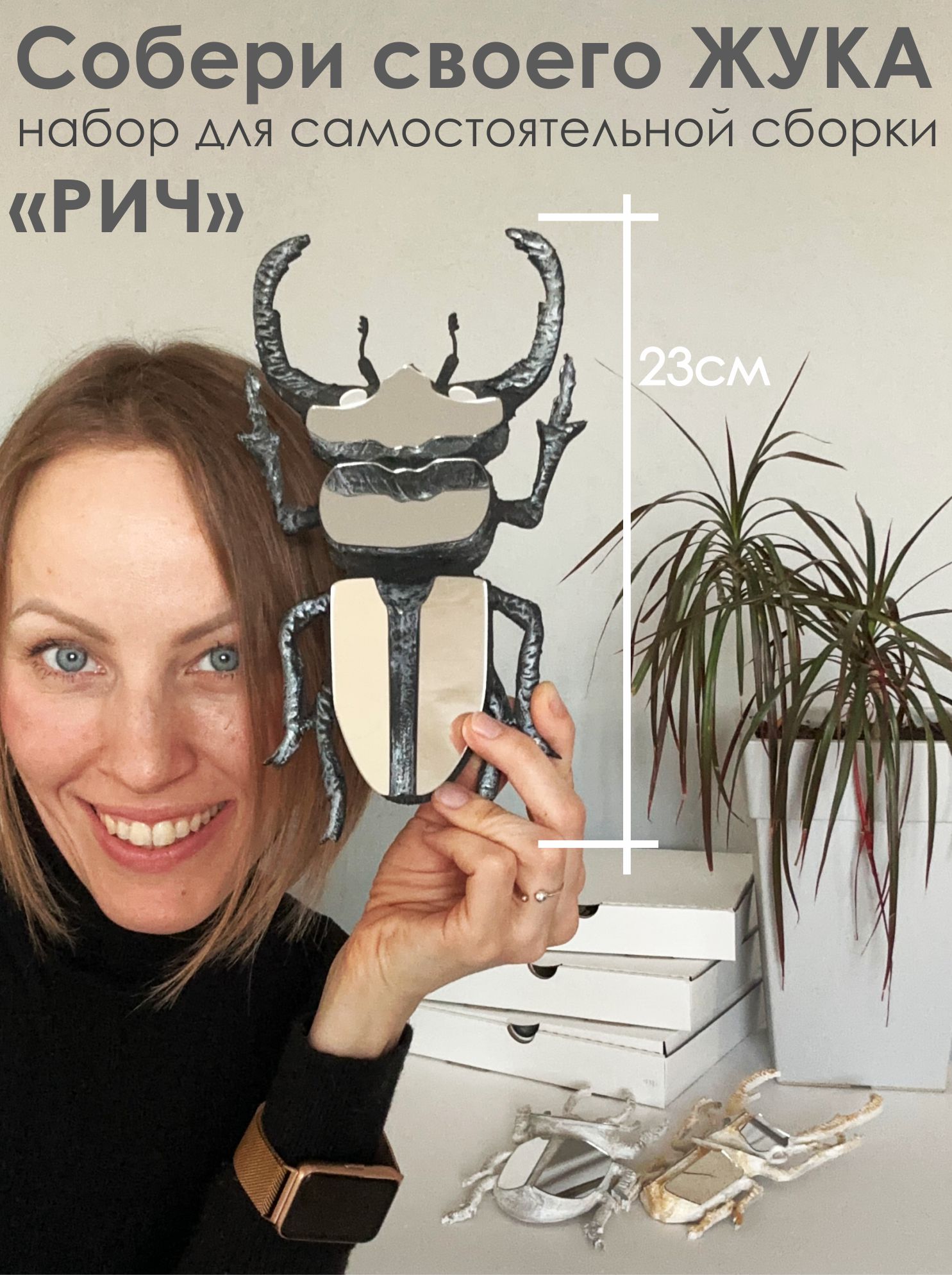 Набор для творчества "Мистер Жук" Рич